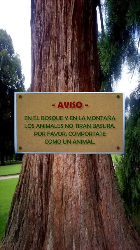 Imagen de la frase: En el bosque y en la montaña los animales no tiran basura. Por favor, compórtate como un animal. Imagen de la frase: En el bosque y en la montaña los animales no tiran basura. Por favor, compórtate como un animal.