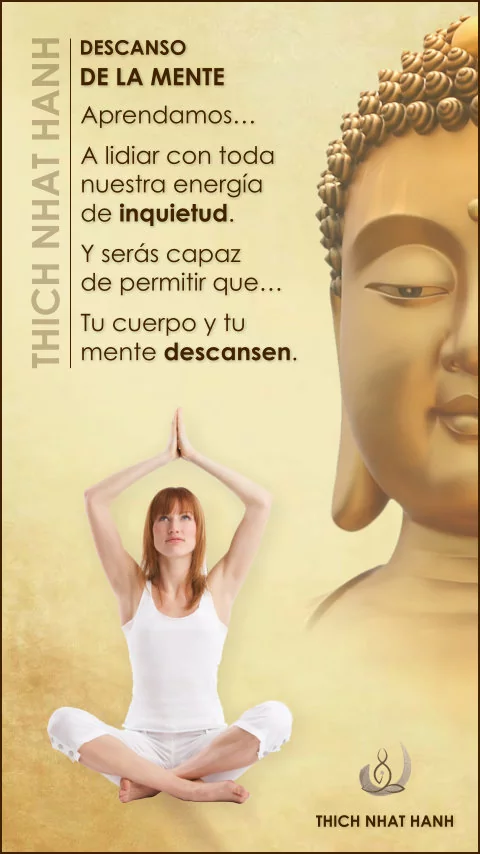 Imagen de la frase: Aprendamos a lidiar con toda nuestra energía de inquietud. Y serás capaz de permitir que tu cuerpo y tu mente descansen.