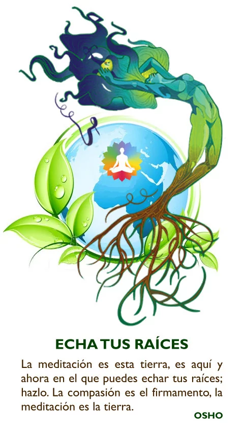 Imagen de la frase: La meditación es esta tierra, es aquí y ahora en el que puedes echar tus raíces; hazlo. La compasión es el firmamento, la meditación es la tierra.