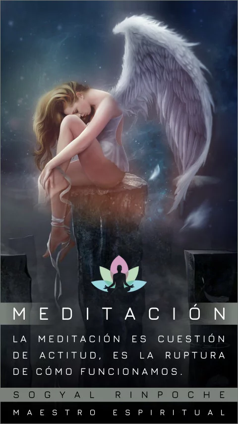 Imagen de la frase: La meditación es cuestión de actitud, es la ruptura de cómo funcionamos.