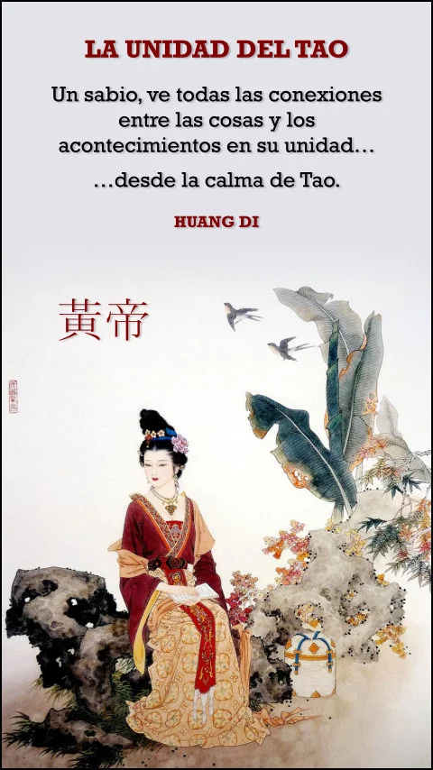 Imagen de la frase: Un sabio ve todas las conexiones entre las cosas y los acontecimientos en su unidad, y desde la calma de Tao.