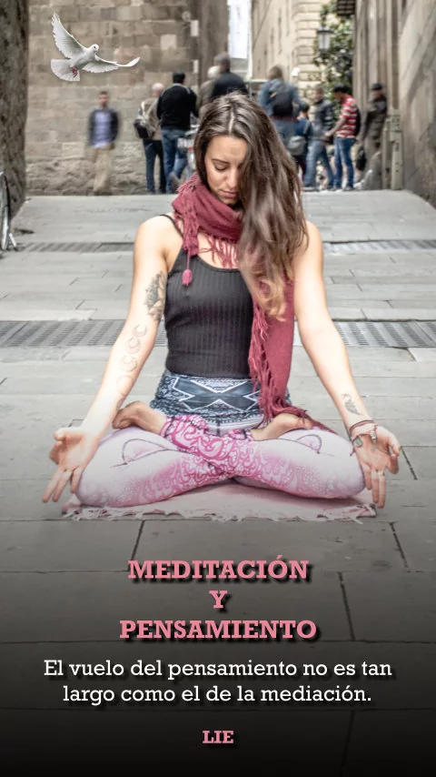 Imagen de la frase: El vuelo del pensamiento no es tan largo como el de la mediación. Imagen de la frase: El vuelo del pensamiento no es tan largo como el de la mediación.