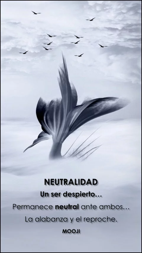 Imagen de la frase: Un ser despierto permanece neutral ante ambos, la alabanza y el reproche.