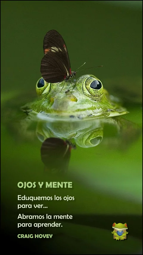 Imagen de la frase: Eduquemos los ojos para ver y abramos la mente para aprender.