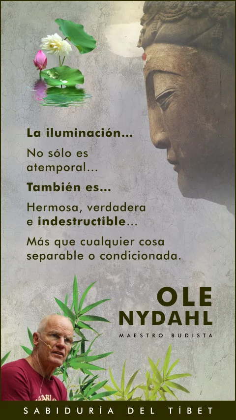 Imagen de la frase: La iluminación no sólo es atemporal. También es hermosa, verdadera e indestructible. Más que cualquier cosa separable o condicionada.