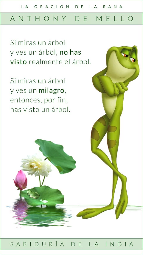Imagen de la frase: Si miras un árbol y ves un árbol, no has visto realmente el árbol. Si miras un árbol y ves un milagro, entonces, por fin, has visto un árbol. Imagen de la frase: Si miras un árbol y ves un árbol, no has visto realmente el árbol. Si miras un árbol y ves un milagro, entonces, por fin, has visto un árbol.