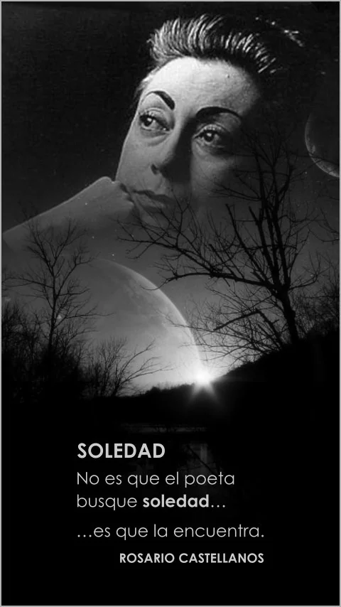 Imagen de la frase: No es que el poeta busque soledad, es que la encuentra.