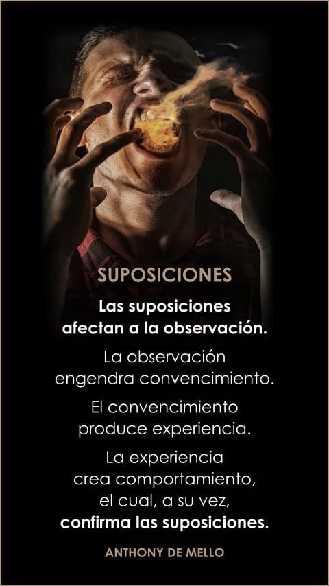 Imagen de la frase: Las suposiciones afectan a la observación. La observación engendra convencimiento. El convencimiento produce experiencia. La experiencia crea comportamiento, el cual, a su vez, confirma las suposiciones. Imagen de la frase: Las suposiciones afectan a la observación. La observación engendra convencimiento. El convencimiento produce experiencia. La experiencia crea comportamiento, el cual, a su vez, confirma las suposiciones.