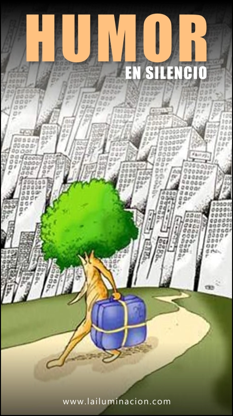 Imagen de la frase: Los que saben no hablan; por eso, los sabios guardan silencio. Imagen de la frase: Los que saben no hablan; por eso, los sabios guardan silencio.