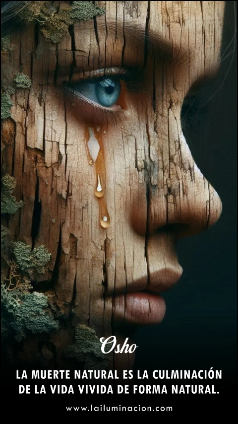 La muerte natural es la culminación de una vida vivida de manera natural. Frase de Osho