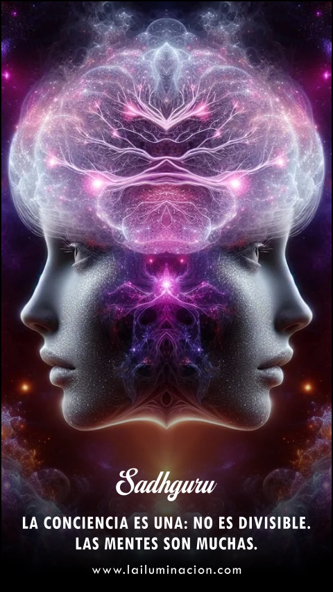 Imagen de la frase: La conciencia es una: no es divisible. Las mentes son muchas.